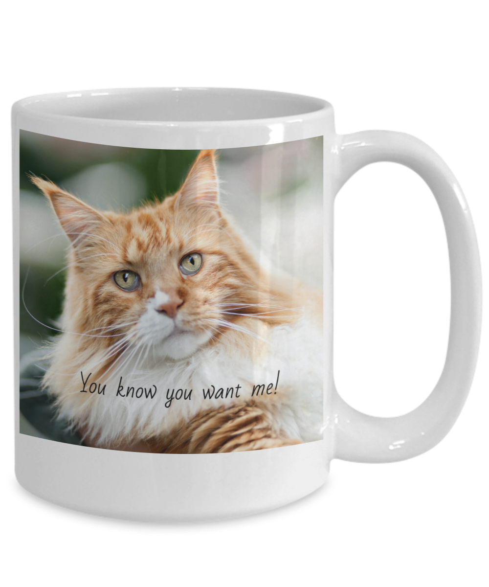 "You Know You Want Me!"-CATS! Collection
