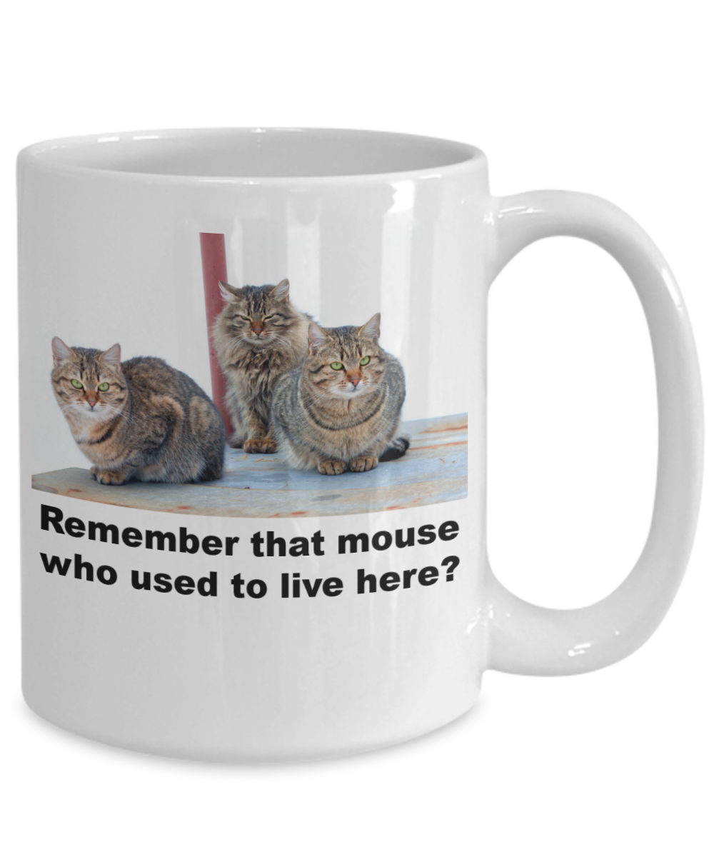 Remember that Mouse Who used to Live here?