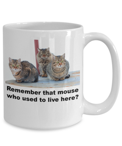 Remember that Mouse Who used to Live here?