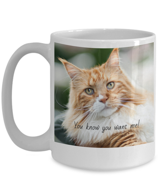 "You Know You Want Me!"-CATS! Collection