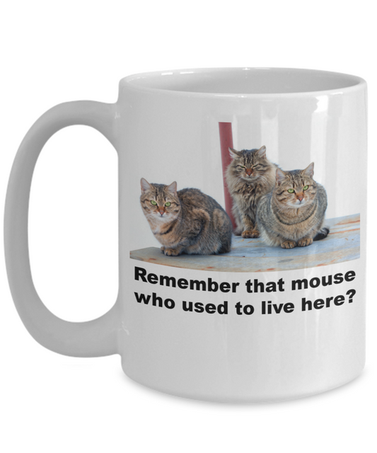 Remember that Mouse Who used to Live here?