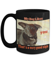 My Dog Likes You - Black Mug